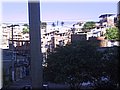 IMG_1319.JPG
